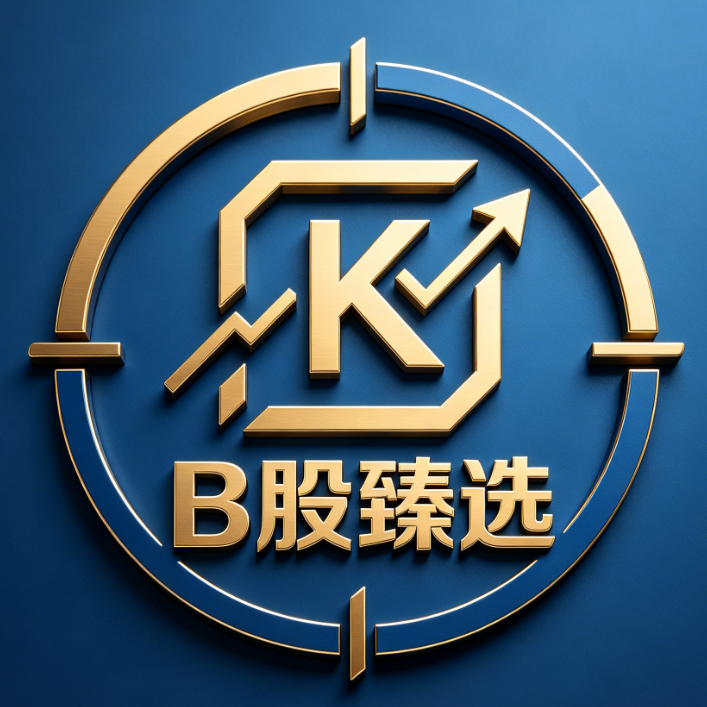 B股臻选